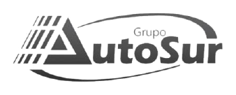 Grupo AutoSur
